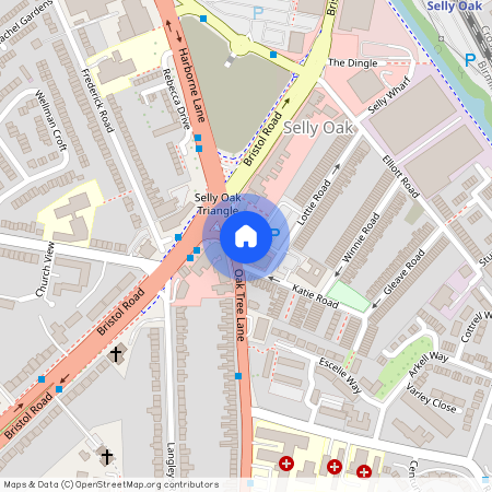 Oak Tree Lane, Selly Oak B29