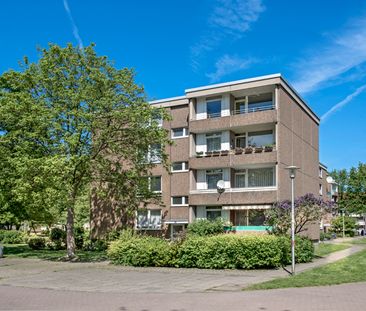 Am Monheimer Tor: Toll geschnittene 3-Zimmer-Wohnung mit Balkon - Foto 1