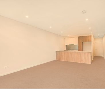 502/8-12 Murrell Street Ashfield - Photo 1