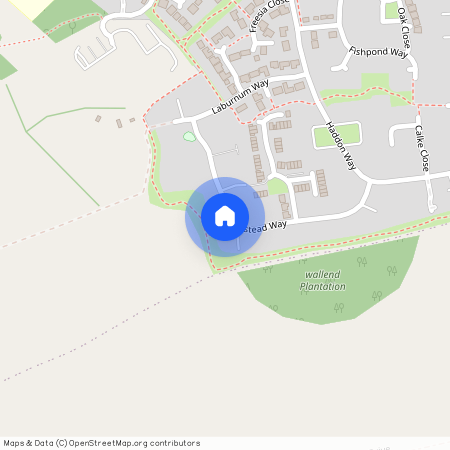 Corydalis Close, LE1, Loughborough