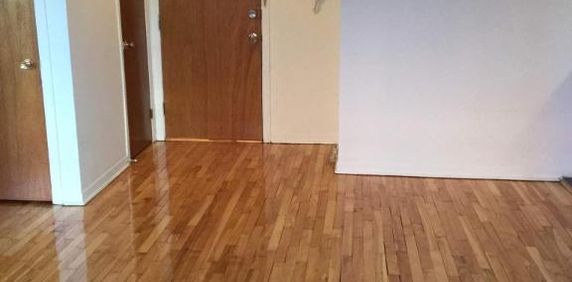 1 CH - 1 SDB - Montréal - $1,200 /mo - Photo 2