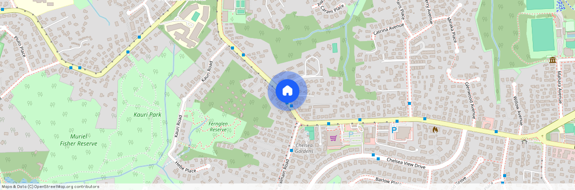 21 Waipa Street, Birkenhead, North Shore City