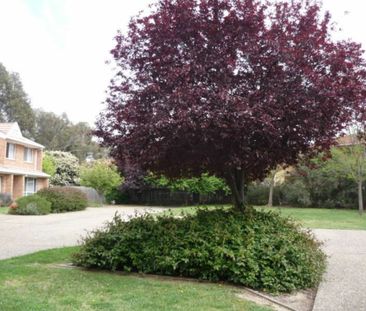 4/3 Tenison-Woods Circuit, Bonython ACT, Belconnen - Photo 4