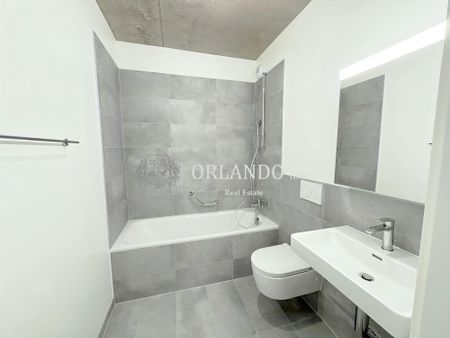 Beautiful new 5-room apartment 1st floor without balcony – Carouge area - Foto 3