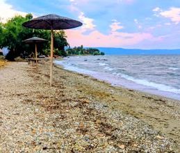 Μονοκατοικία για ενοικίαση - Αρτέμιδα, - Φωτογραφία 3