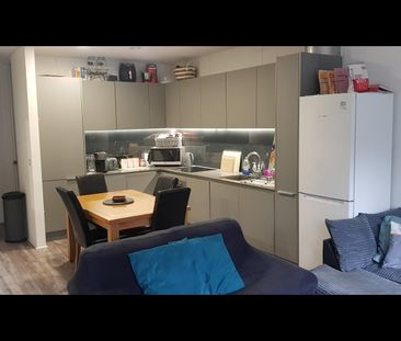 Room in a Shared House, South Loop Park, B16 - Photo 4