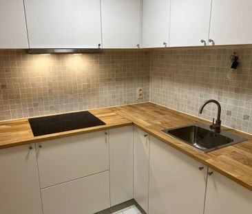 1-slaapkamerappartement met zijdelings zee- en polderzicht te huur ... - Photo 4