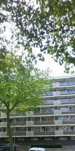 Erasmuslaan 1216 LT Hilversum - Foto 4