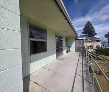 Mauao views on The Mall - Mt Maunganui - Photo 4