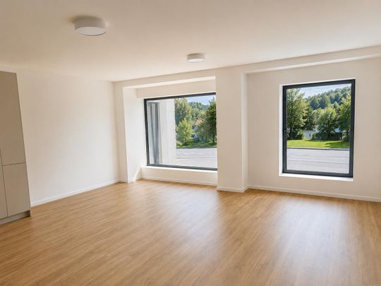 Kernsanierte 2.5 Zimmer-Wohnung mit grossem, gedeckte Gartensitzplatz - Foto 1
