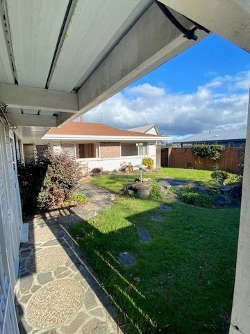 Warm Family Home with Stunning Views - Maungatapu - Photo 3