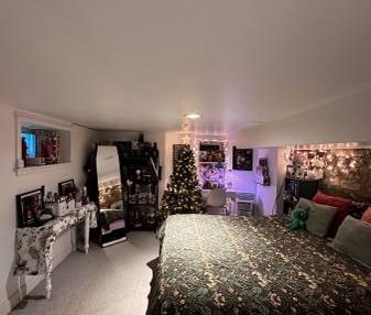 Cozy Basement Apartment - Photo 3