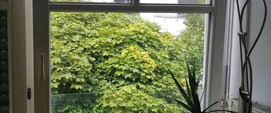 2 Zimmer Wohnung NEUBAU 42 Qm - Foto 1
