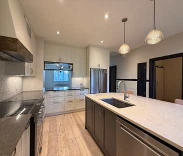 2759 Av. Hector, Montréal (Mercier, QC H1L - Photo 4