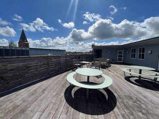 Lys 3 værelses med adgang til fælles tagterrasse – delevenlig - Photo 1