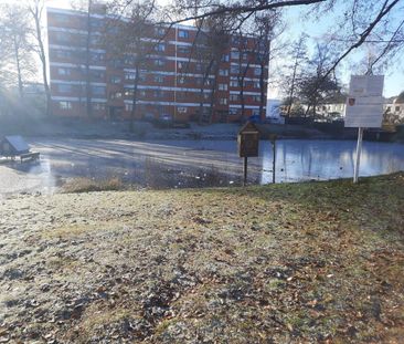 Single Appartement mit Balkon am Rethlager Mühlenteich zu vermieten - Foto 6