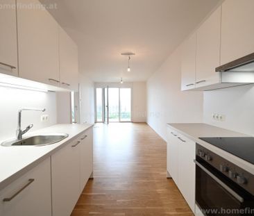südseitige Gartenwohnung, 2 Zimmer, Garage möglich I befristet - Foto 3