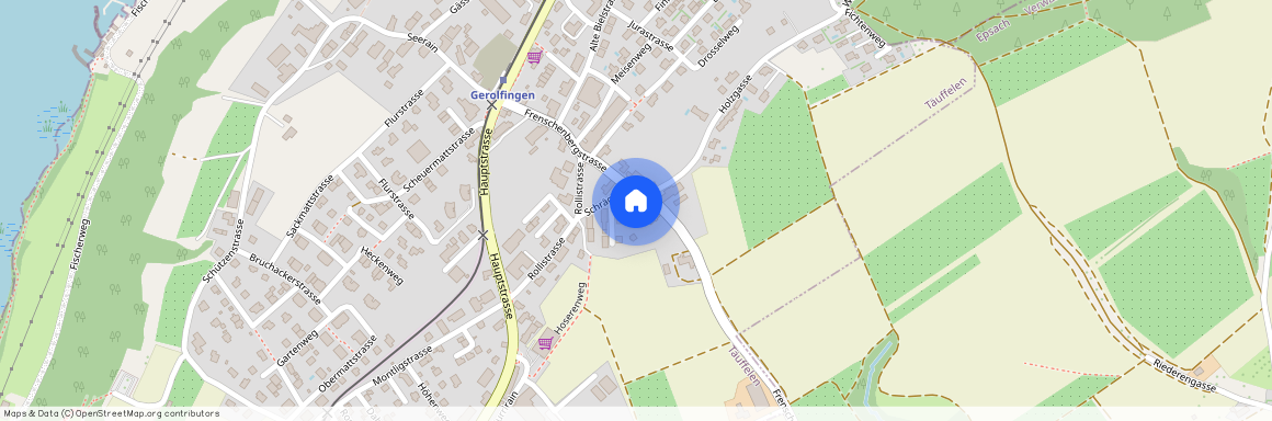 2575, Gerolfingen, Frenschenbergstrasse, 12