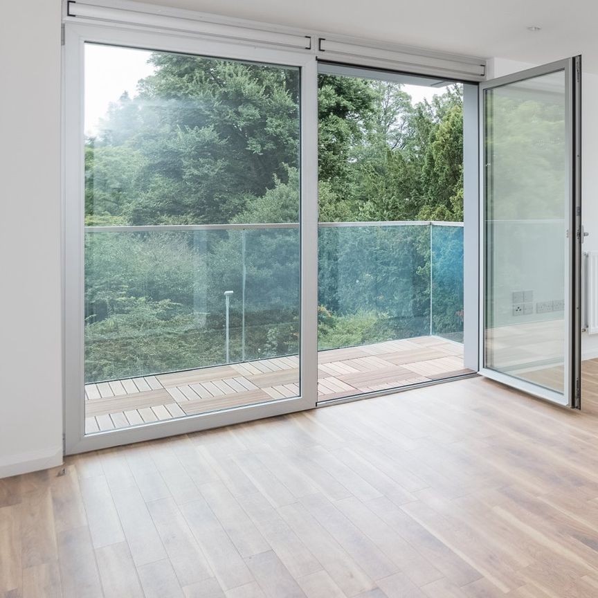 Central Park - Photo 1