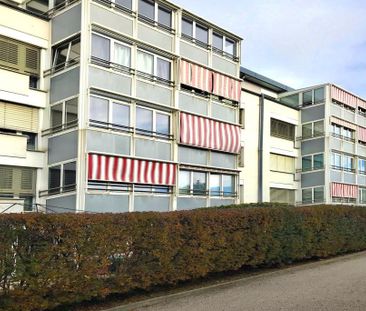 Bel appartement de 2.5 pièces au rez-de-chaussée - Photo 5