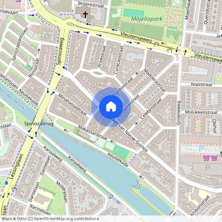 Laan van Nieuw-Guinea, Spinozaweg e.o., 3531 JE, Laan van Nieuw-Guinea, Utrecht