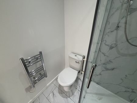 Studio Flat, London, E11 - Photo 4