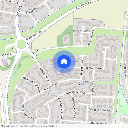 Ringlet Drive, Great Park, Newcastle Upon Tyne