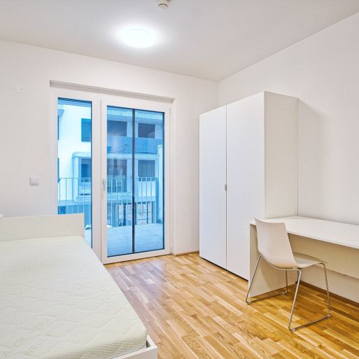 möblierte Apartments zur Kurzzeitmiete (2-12 Monate) / furnished apartments for short-term rental (2-12 months) - Photo 1