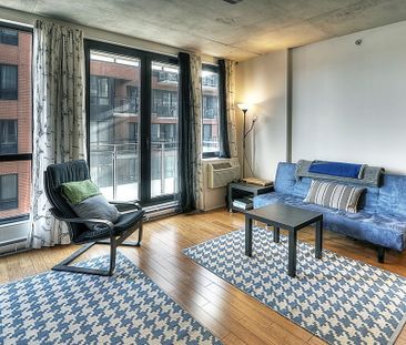 Condo for rent, Montréal (Le Sud-Ouest) - Photo 6