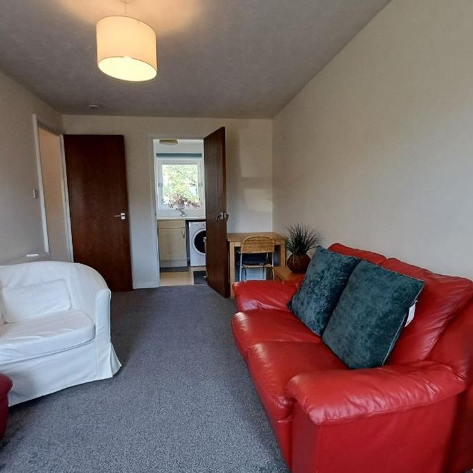 1 bed flat for rent in Shandon - Photo 1