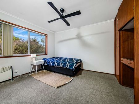 CLOSE TO EVERYTHING - Photo 5