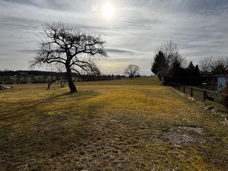 5 Zimmer, 80 m² - Photo 3