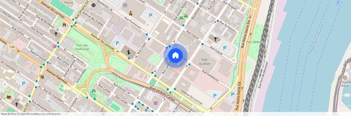 1450 Rue Parthenais Montréal, Ville-Marie, Ville-Marie, Ile de Montréal, H2K 2J3