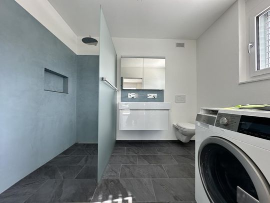 Moderne 3.5-Zimmer-Attikawohnung mit grosser Terrasse und Seesicht - Foto 1