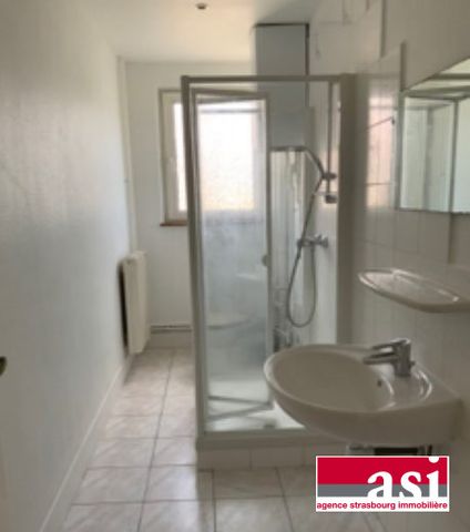 SCHILTIGHEIM : 1 pièce 40m² - Photo 3