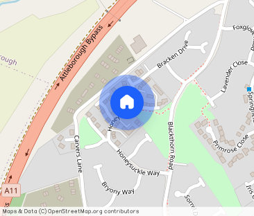 Honeysuckle Way - Photo 1