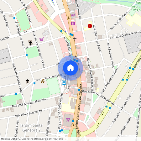 Rua Luiz Vicentin, 495 - Jardim Santa Genebra II Barao Geraldo, Campinas - SP