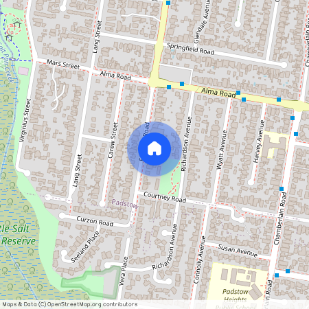 157 Faraday Road, NSW 2211, Padstow