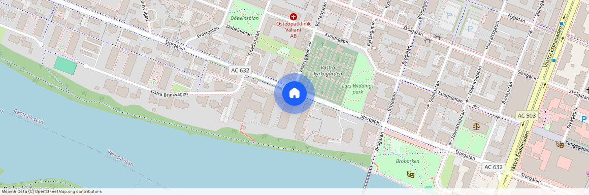 Gamla Lasarettsgatan 31, Gamla Lasarettet