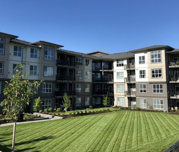 2 Bed 2 Bath East Facing Courtyard Apartment at Midtown! - Photo 1