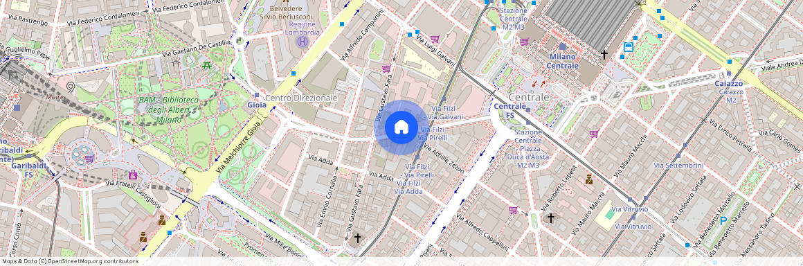 Viale via vittorio veneto, Milano, Lombardy 20124