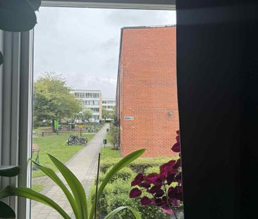 Professorsgatan, Malmö - Foto 4