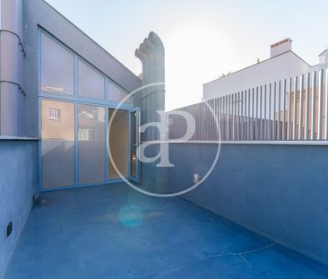 Apartment for rent in El Terreno (Palma de Mallorca) - Photo 3