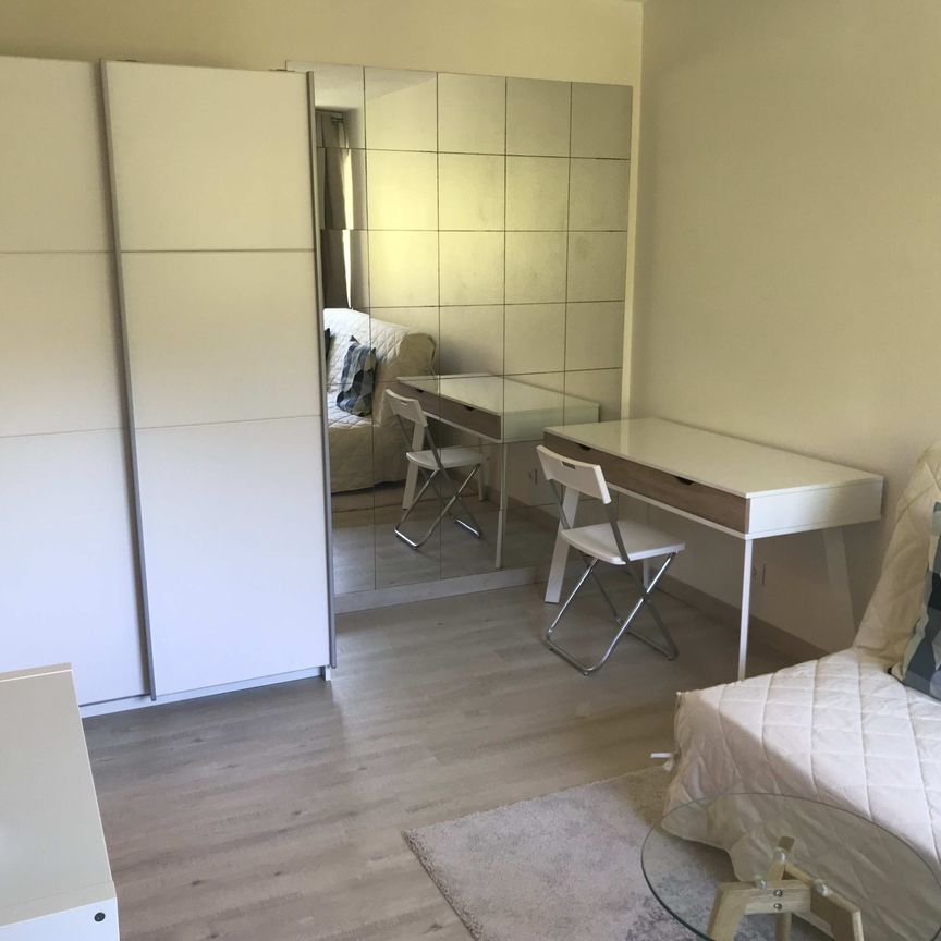 Location Appartement 1 pièce 19m² MEYLAN 38240 - Photo 1