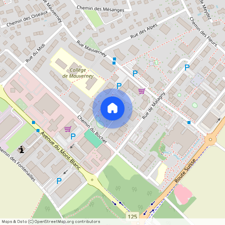 Chemin du Bochet 8b, 1196 Gland