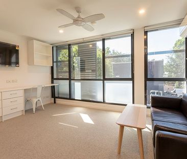 Studio Apartment - Ideal Student Accommodation ** ENTER VIA LANDER ... - Photo 2