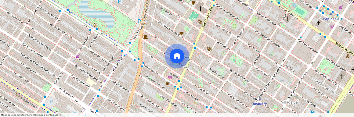2047 Rue Montcalm, Ville-Marie, Ville-Marie, Ile de Montréal, H2L 1R5