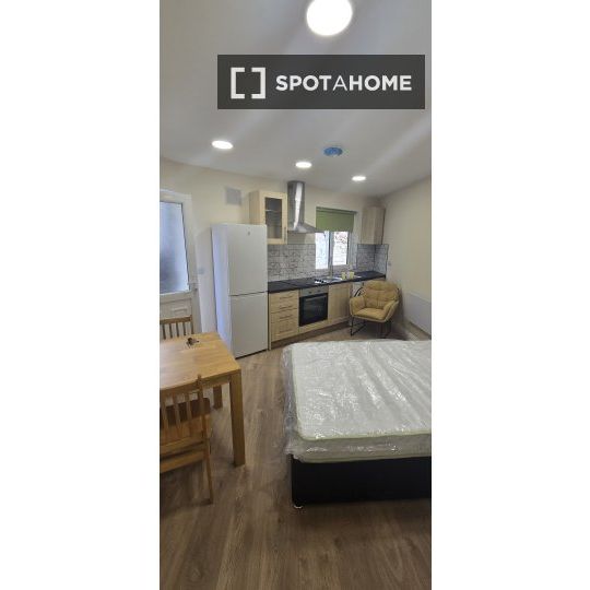 Studio for rent in Ballybough, Dublin - Photo 1