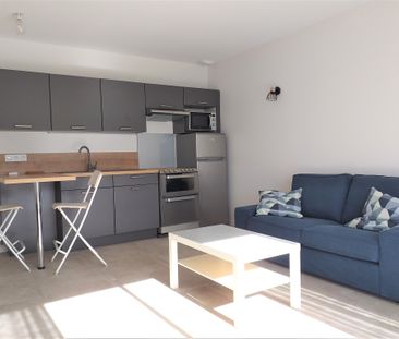 Appartement T2- 41,53 Chaponnay Chaponnay (69970) Le bien en vidéo - Photo 6