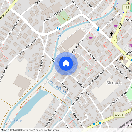 8370, Sirnach, Lindenstrasse, 16